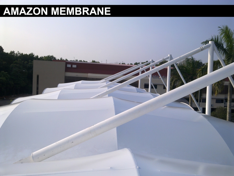 amazon-membrane-2